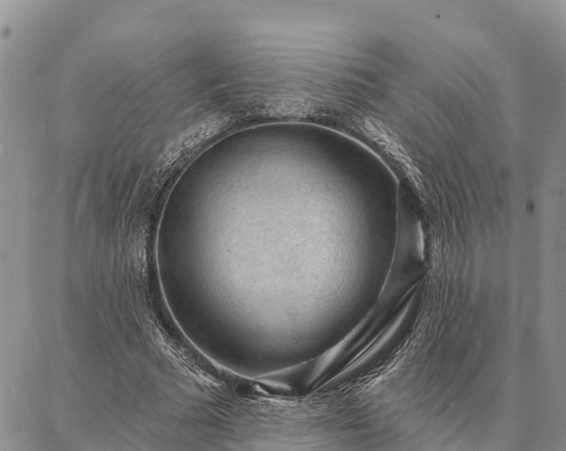 X0000086930681200704231331