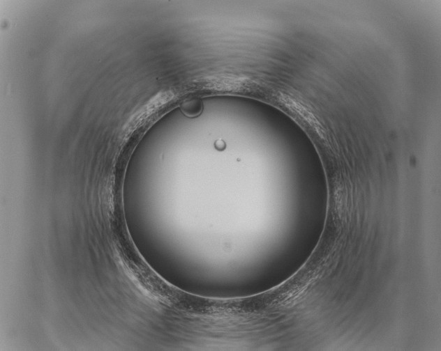 X0000086930682200704231331