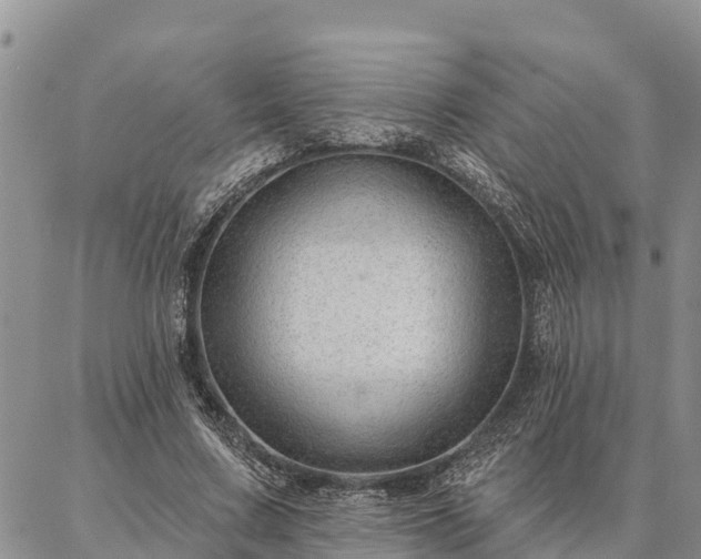 X0000086930683200704231331