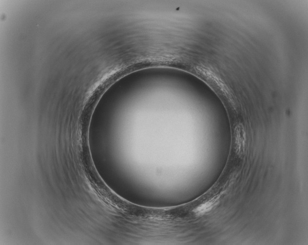 X0000086930684200704231331