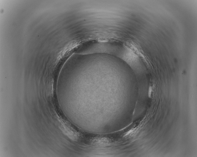 X0000086930685200704231331