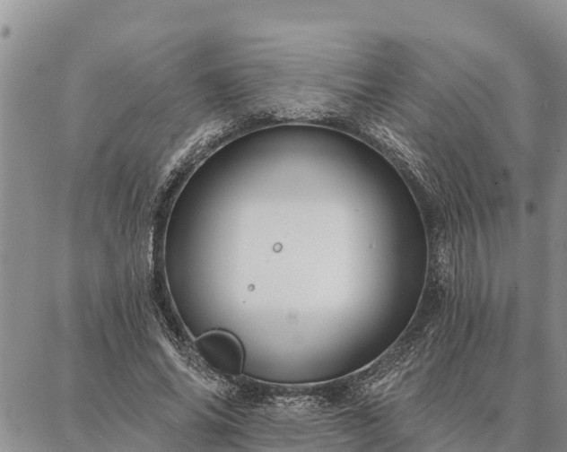 X0000086930686200704231331