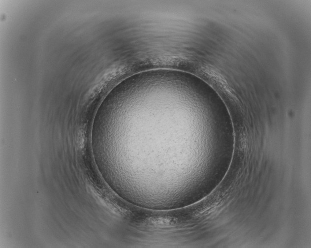 X0000086930687200704231331