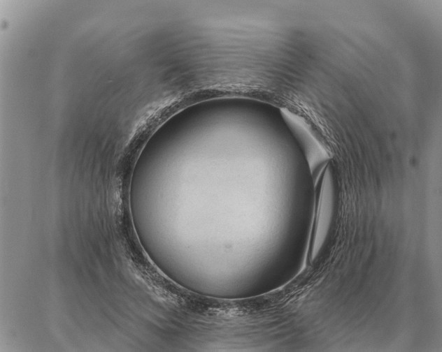 X0000086930688200704231331