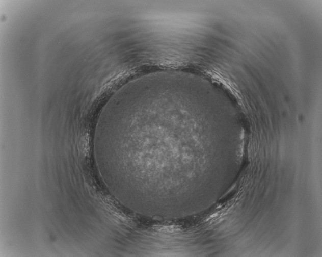 X0000086930689200704231331