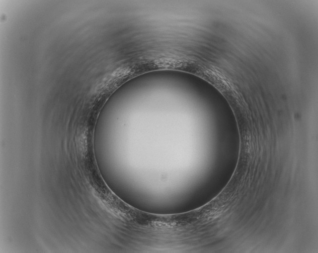 X0000086930690200704231331