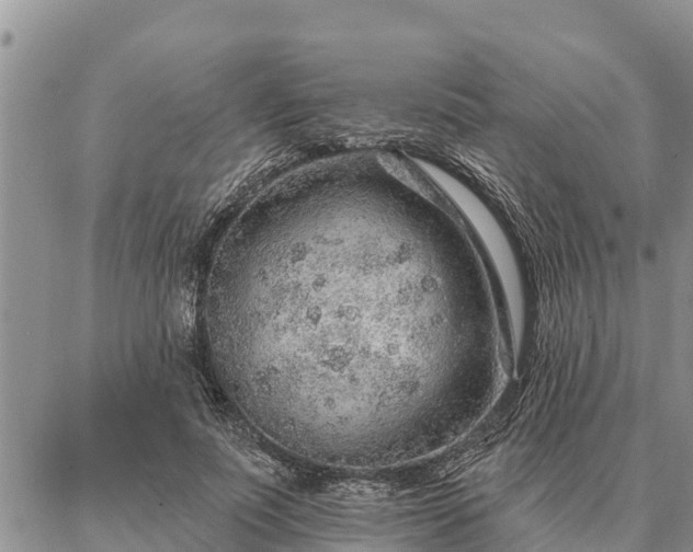 X0000086930691200704231331