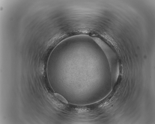 X0000086930693200704231331