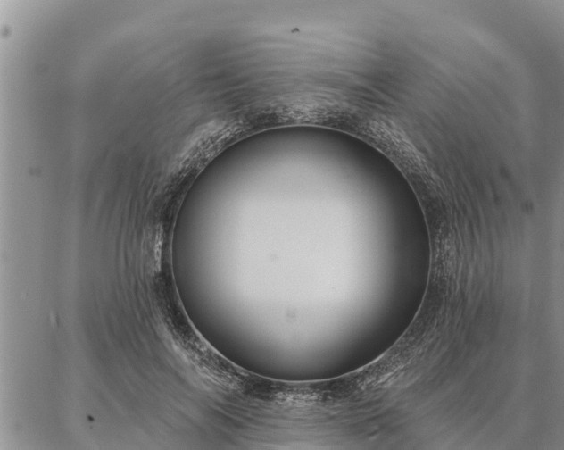 X0000086930694200704231331