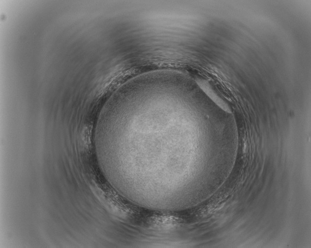 X0000086930695200704231331