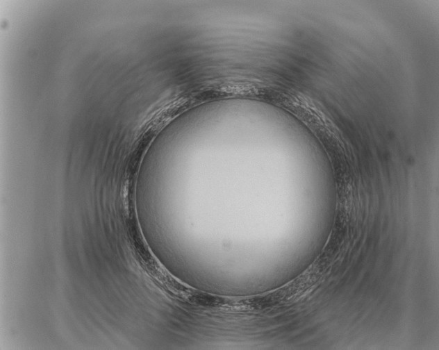 X0000086930696200704231331