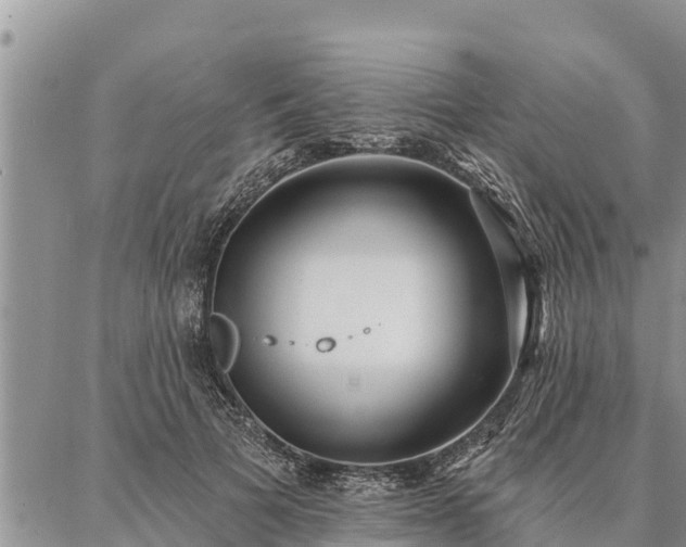 X0000086930697200704231331