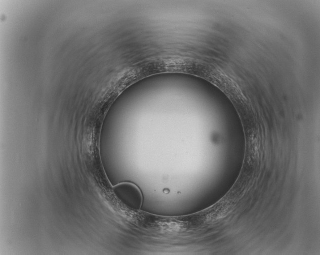 X0000086930698200704231331