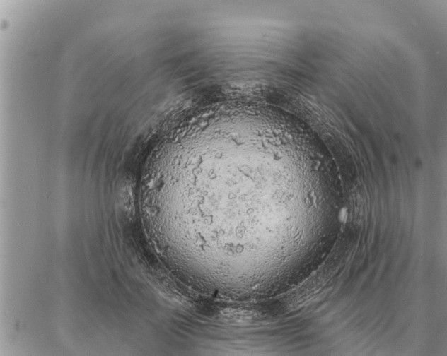 X0000086930699200704231331