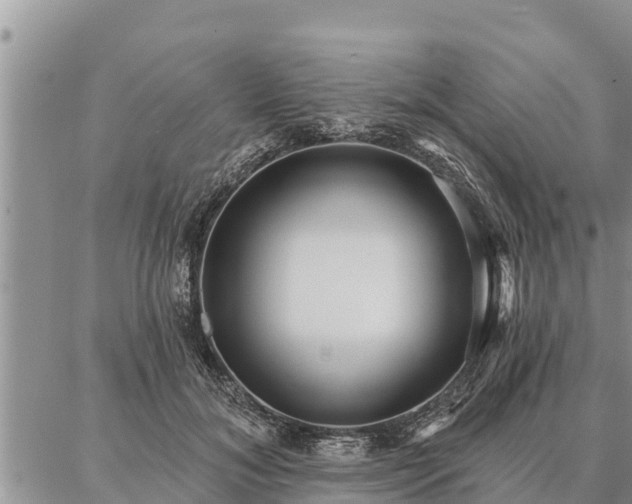 X0000086930700200704231330