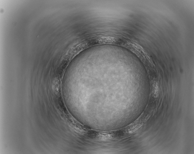 X0000086930701200704231330