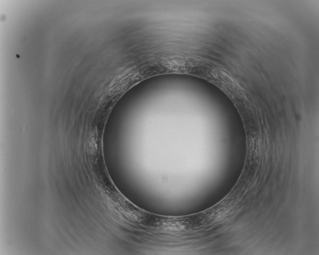 X0000086930702200704231330