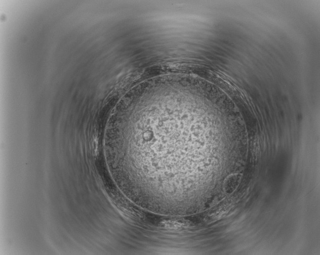 X0000086930703200704231330