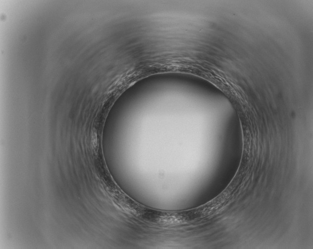 X0000086930704200704231330