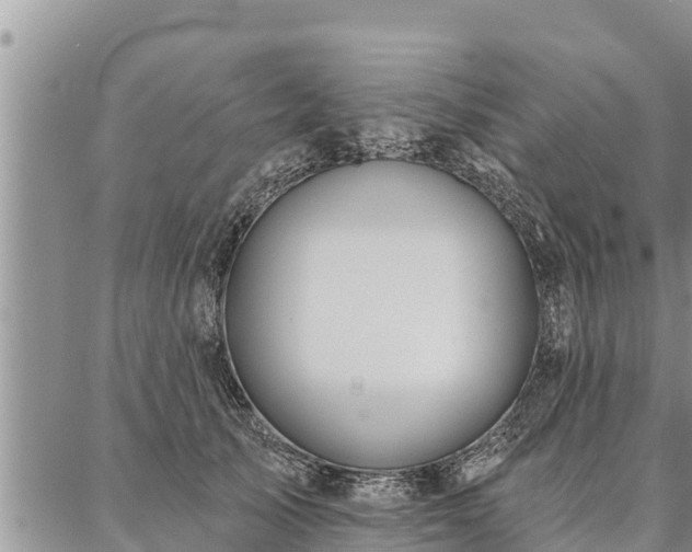 X0000086930705200704231330