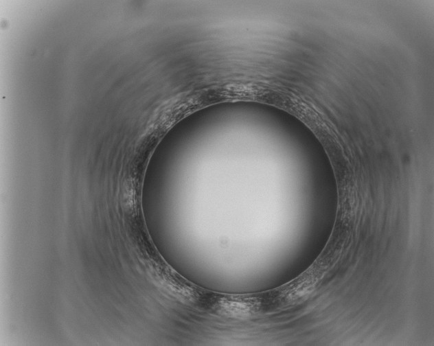 X0000086930706200704231330