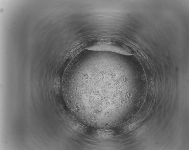 X0000086930707200704231330