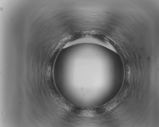 X0000086930708200704231330