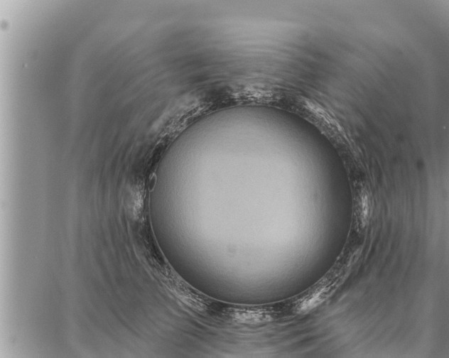 X0000086930709200704231330