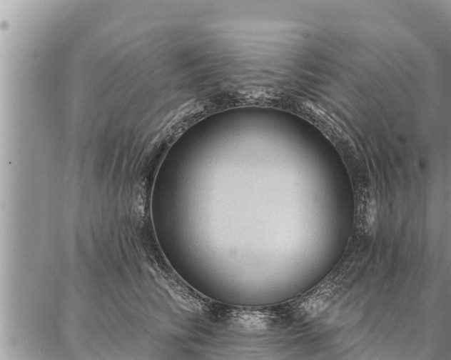 X0000086930710200704231330