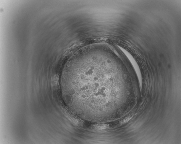 X0000086930711200704231330