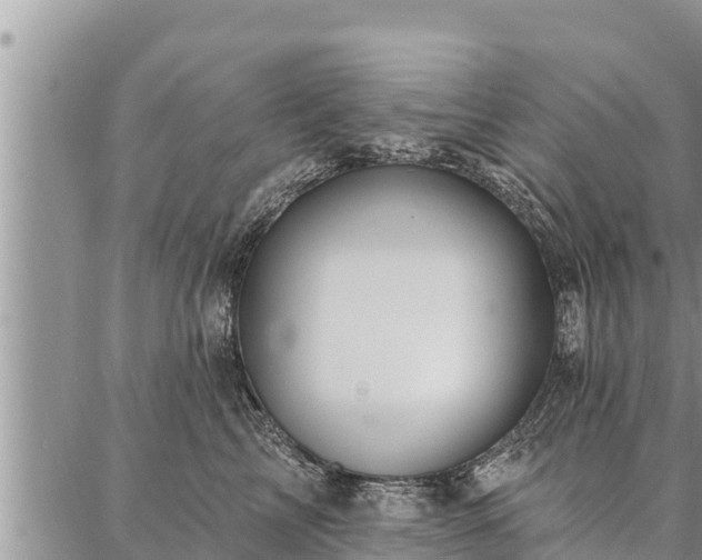 X0000086930713200704231330