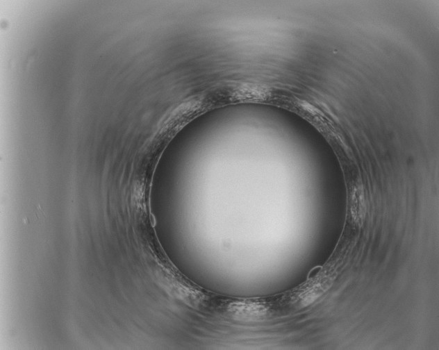 X0000086930714200704231330