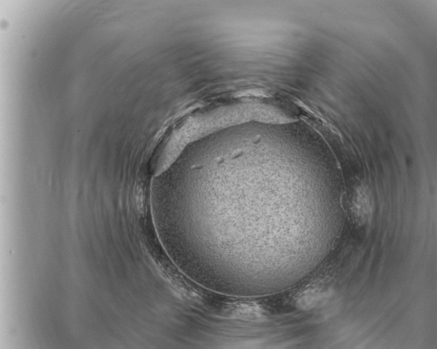 X0000086930715200704231330