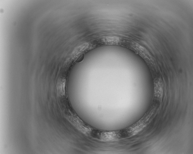 X0000086930717200704231330