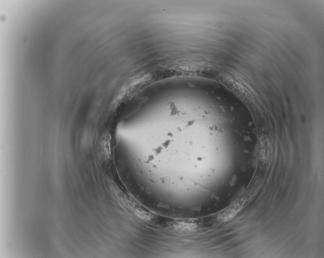 X0000086930718200704231330