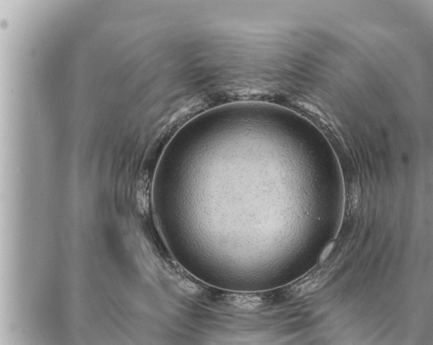 X0000086930719200704231330