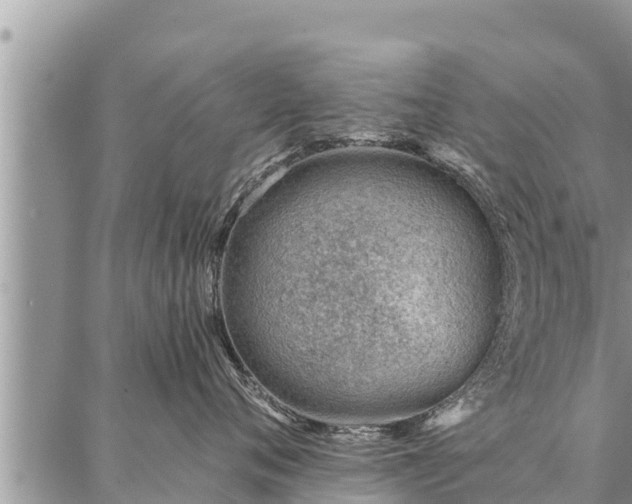 X0000086930720200704231330