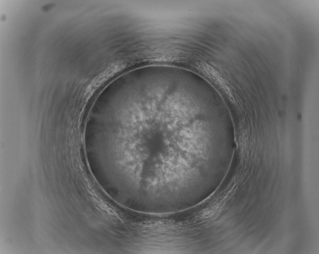 X0000086930721200704231329