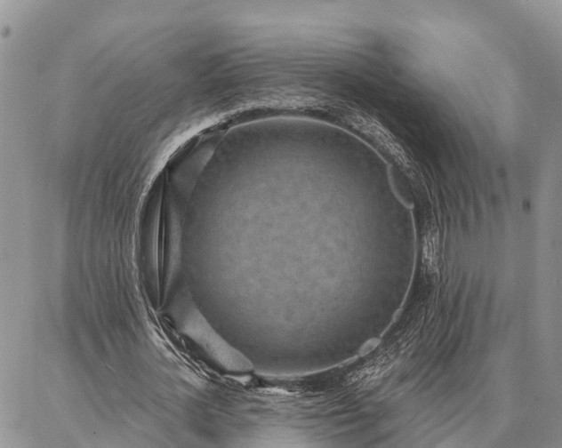 X0000086930724200704231329