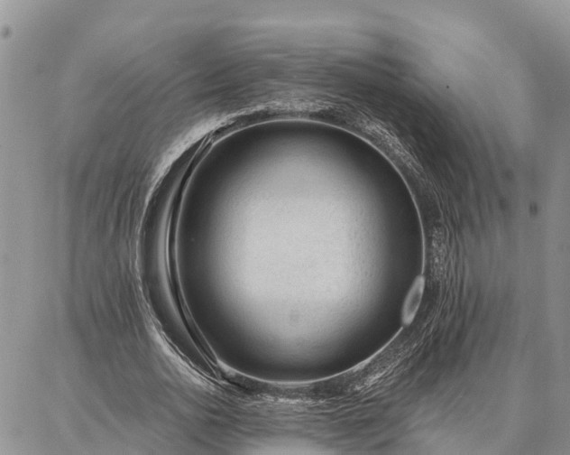 X0000086930726200704231329