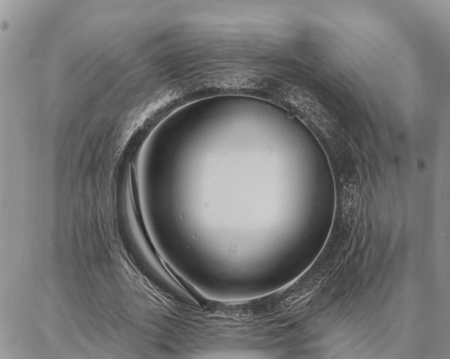 X0000086930727200704231329