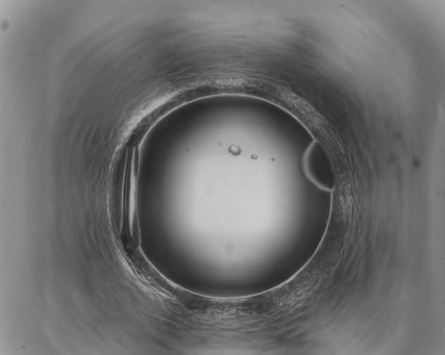 X0000086930728200704231329