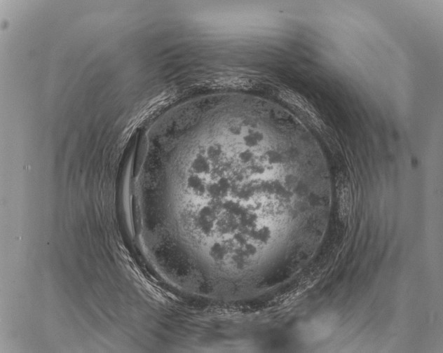 X0000086930729200704231330