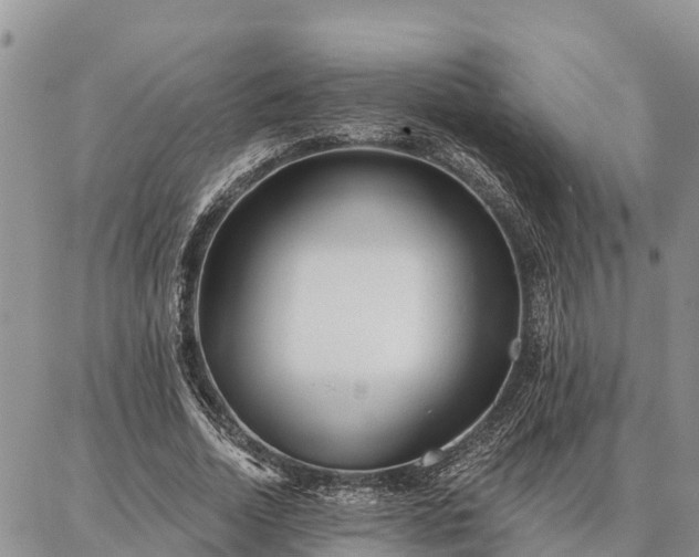 X0000086930730200704231330