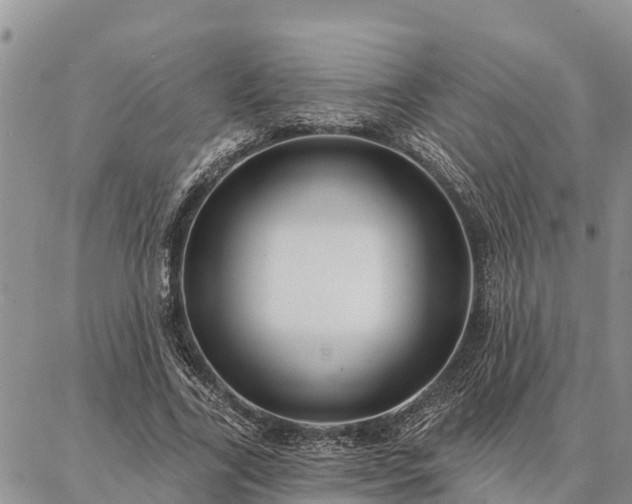 X0000086930731200704231330