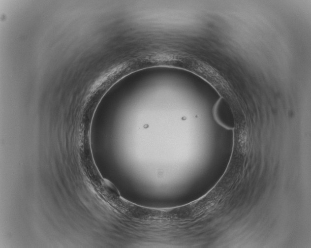 X0000086930732200704231330