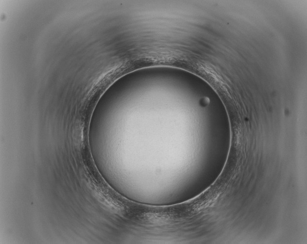 X0000086930733200704231330