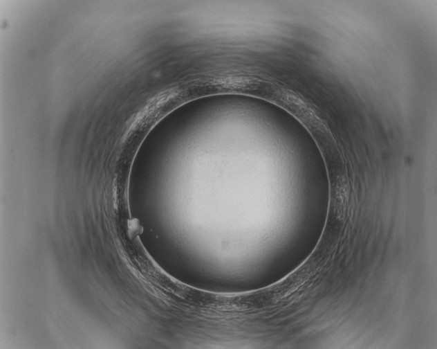 X0000086930734200704231330