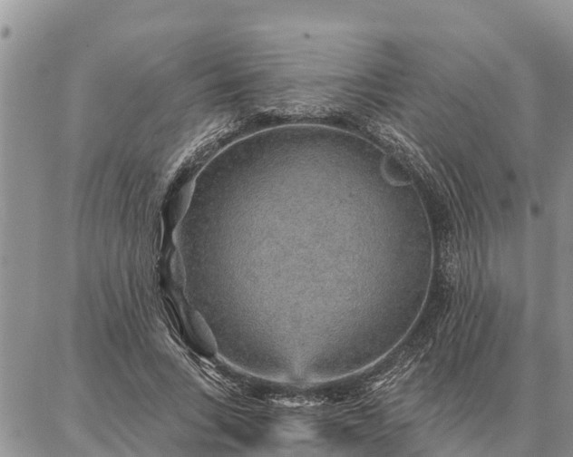 X0000086930735200704231330