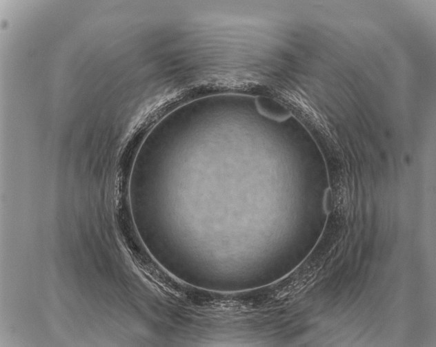 X0000086930736200704231330